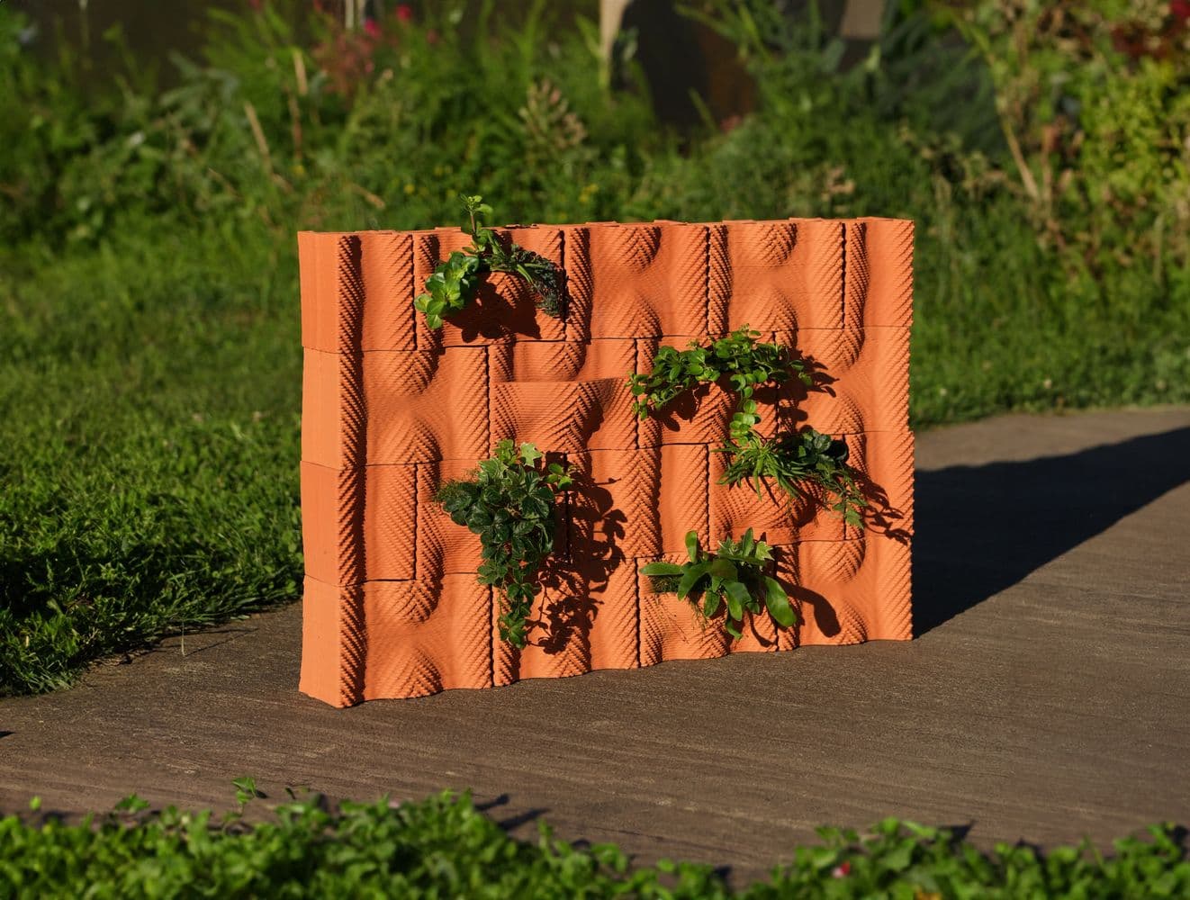 Addit Image 7